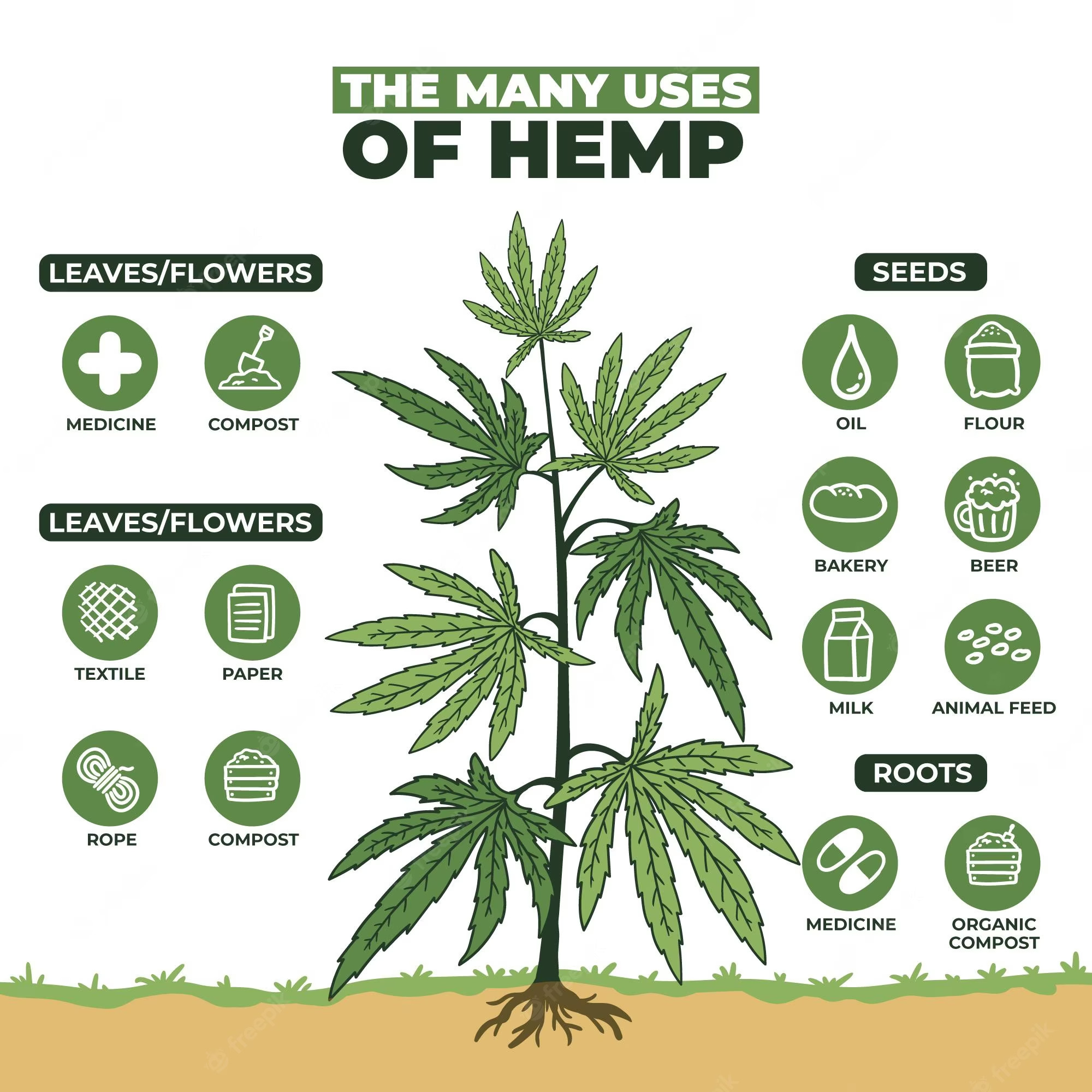The Versatile Possibilities of Hemp: From Textiles to Sustainable Building Materials