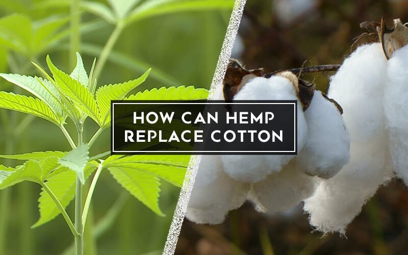 Superiority of Hemp Flags