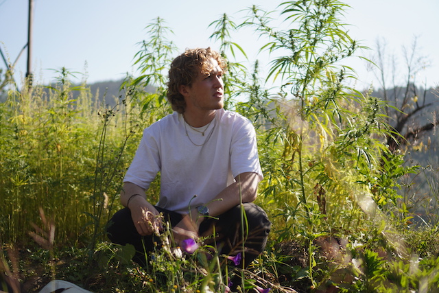 Green Revolution: Hemp farming for a sustainable future
