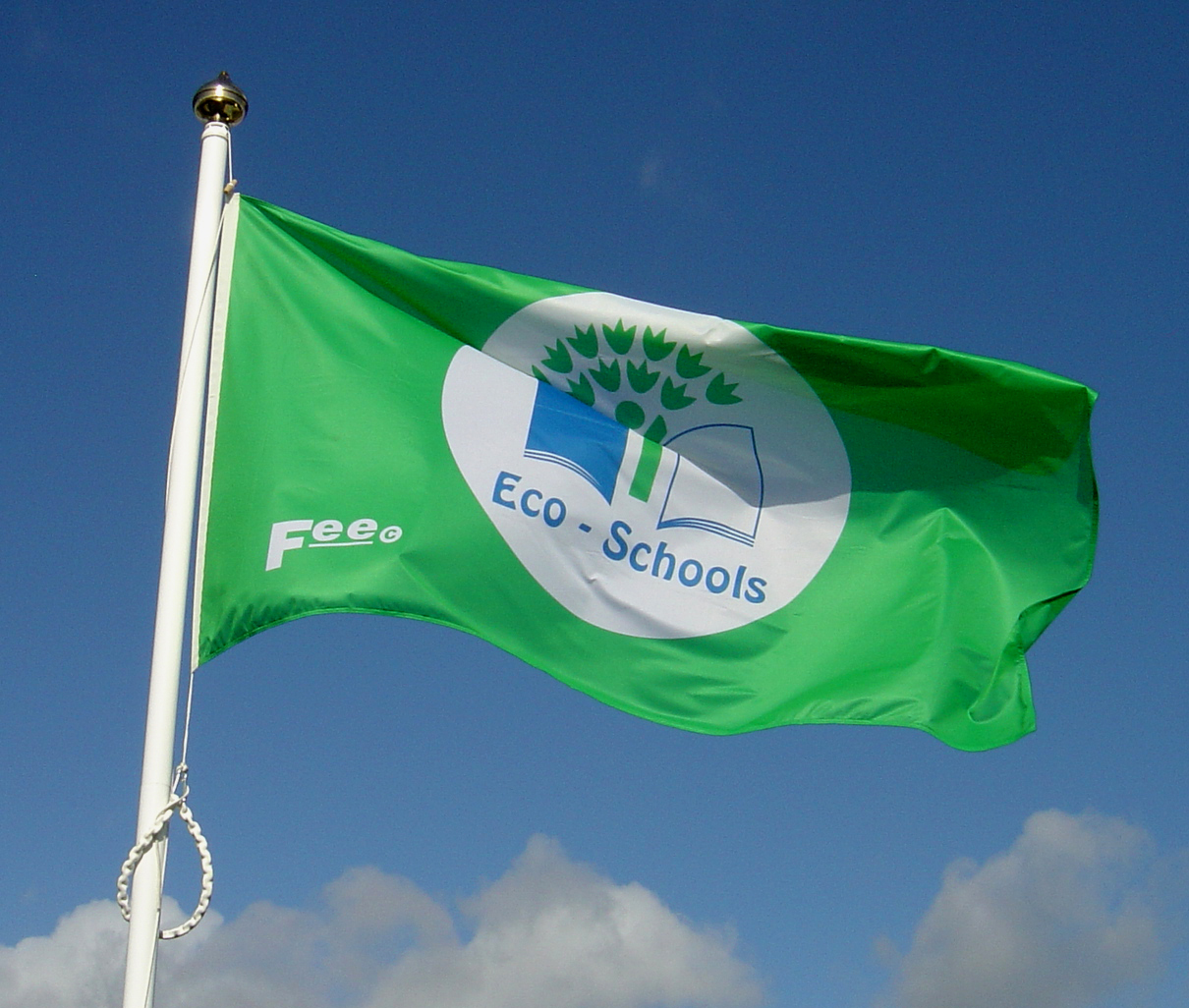 A Flying Green Flag